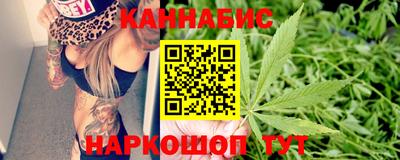 мдпв Кингисепп