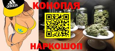 мдпв Кингисепп