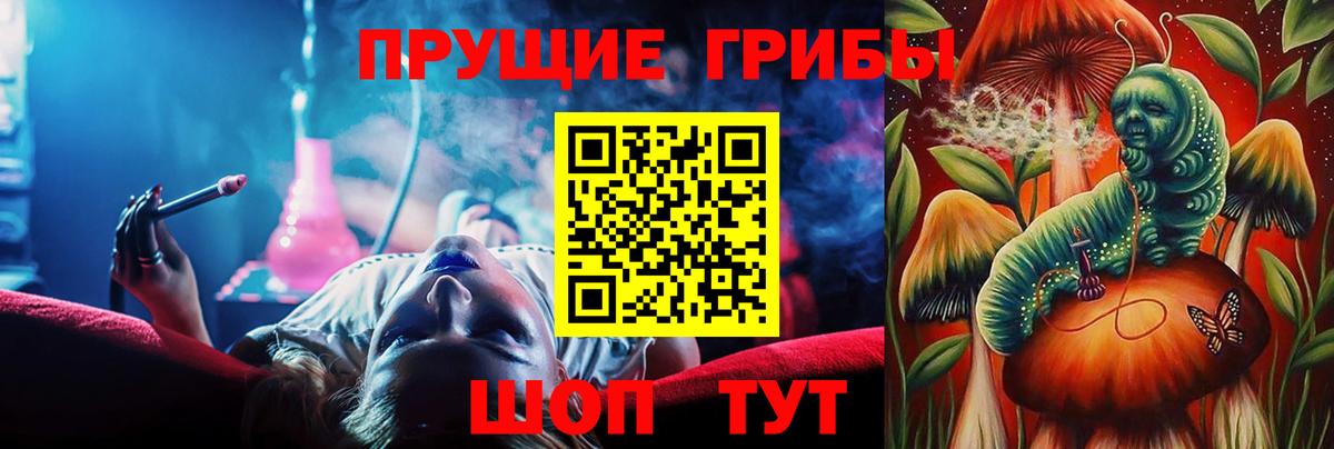 Псилоцибиновые грибы мицелий Кстово